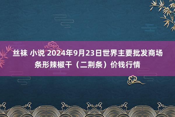 丝袜 小说 2024年9月23日世界主要批发商场条形辣椒干（二荆条）价钱行情