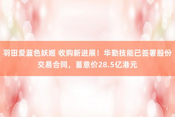 羽田爱蓝色妖姬 收购新进展！华勤技能已签署股份交易合同，蓄意价28.5亿港元