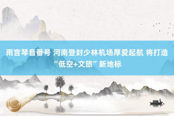 雨宫琴音番号 河南登封少林机场厚爱起航 将打造“低空+文旅”新地标