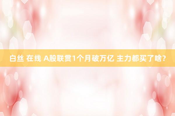 白丝 在线 A股联贯1个月破万亿 主力都买了啥？
