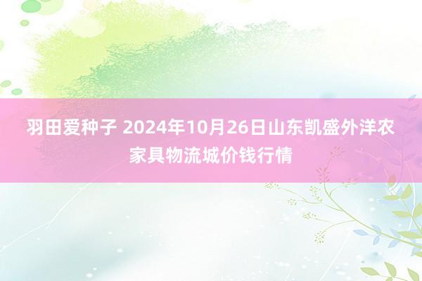 羽田爱种子 2024年10月26日山东凯盛外洋农家具物流城价钱行情