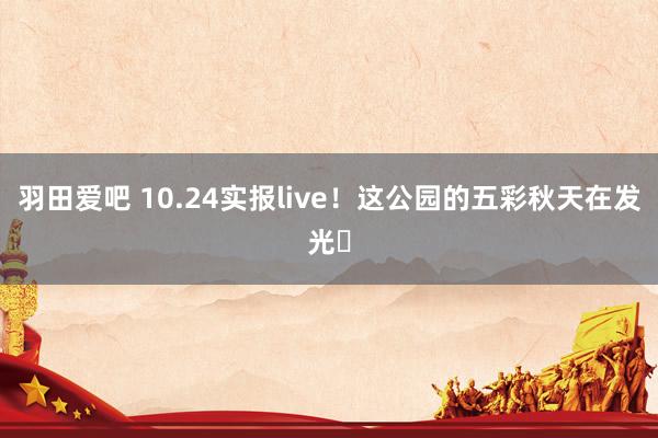 羽田爱吧 10.24实报live!这公园的五彩秋天在发光✨