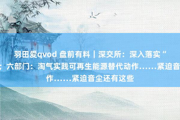 羽田爱qvod 盘前有料｜深交所：深入落实“并购六条”；六部门：淘气实践可再生能源替代动作……紧迫音尘还有这些