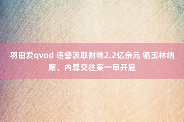 羽田爱qvod 违警汲取财物2.2亿余元 骆玉林纳贿、内幕交往案一审开庭