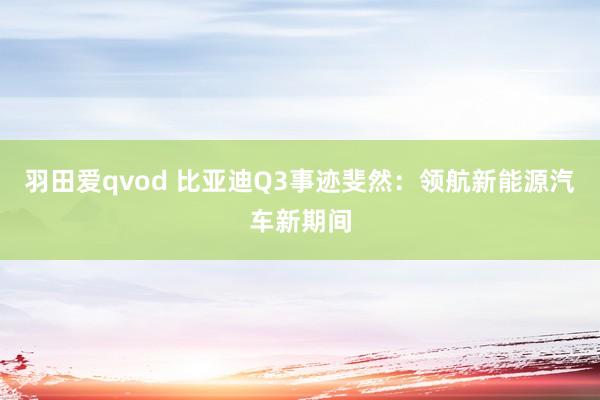 羽田爱qvod 比亚迪Q3事迹斐然：领航新能源汽车新期间