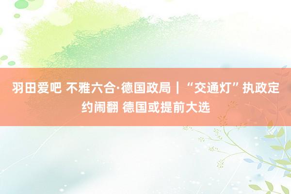 羽田爱吧 不雅六合·德国政局｜“交通灯”执政定约闹翻 德国或提前大选