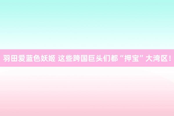 羽田爱蓝色妖姬 这些跨国巨头们都“押宝”大湾区！