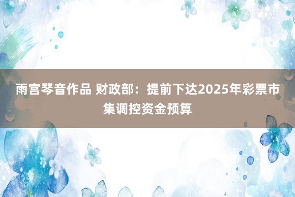 雨宫琴音作品 财政部：提前下达2025年彩票市集调控资金预算