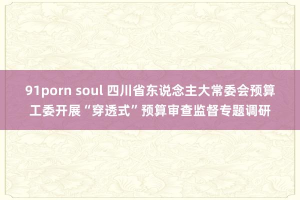 91porn soul 四川省东说念主大常委会预算工委开展“穿透式”预算审查监督专题调研