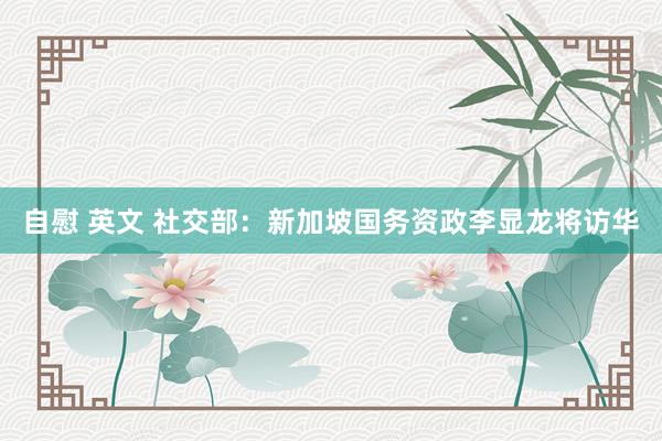 自慰 英文 社交部:新加坡国务资政李显龙将访华