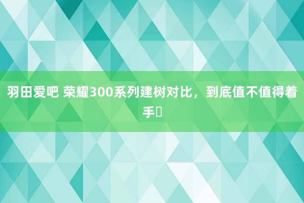 羽田爱吧 荣耀300系列建树对比,到底值不值得着手❓