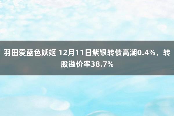 羽田爱蓝色妖姬 12月11日紫银转债高潮0.4%，转股溢价率38.7%