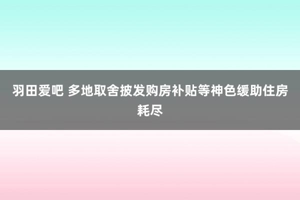 羽田爱吧 多地取舍披发购房补贴等神色缓助住房耗尽