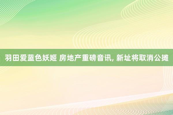 羽田爱蓝色妖姬 房地产重磅音讯， 新址将取消公摊