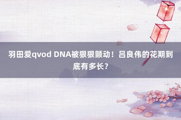 羽田爱qvod DNA被狠狠颤动！吕良伟的花期到底有多长？
