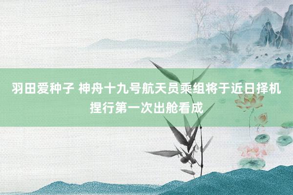 羽田爱种子 神舟十九号航天员乘组将于近日择机捏行第一次出舱看成