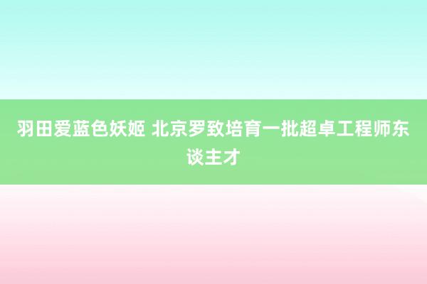 羽田爱蓝色妖姬 北京罗致培育一批超卓工程师东谈主才