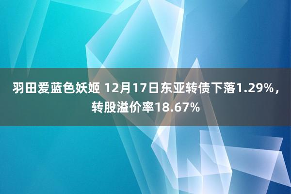 羽田爱蓝色妖姬 12月17日东亚转债下落1.29%，转股溢价率18.67%