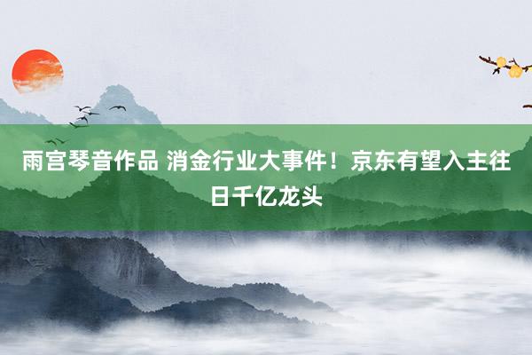 雨宫琴音作品 消金行业大事件！京东有望入主往日千亿龙头