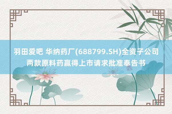 羽田爱吧 华纳药厂(688799.SH)全资子公司两款原料药赢得上市请求批准奉告书