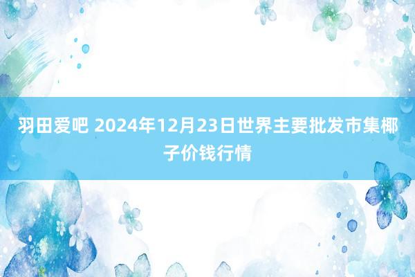 羽田爱吧 2024年12月23日世界主要批发市集椰子价钱行情