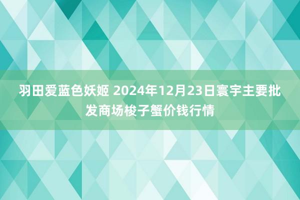 羽田爱蓝色妖姬 2024年12月23日寰宇主要批发商场梭子蟹价钱行情