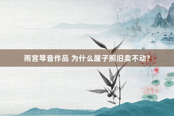 雨宫琴音作品 为什么屋子照旧卖不动?