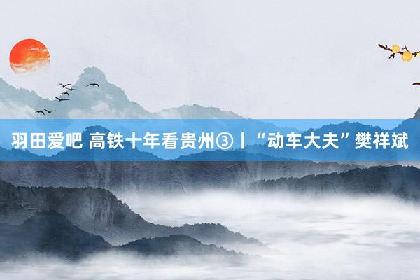 羽田爱吧 高铁十年看贵州③丨“动车大夫”樊祥斌