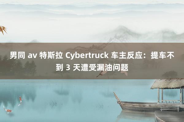 男同 av 特斯拉 Cybertruck 车主反应：提车不到 3 天遭受漏油问题