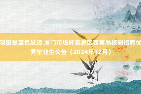 羽田爱蓝色妖姬 厦门市场好意思区西宾局校园招聘优秀毕业生公告（2024年12月）