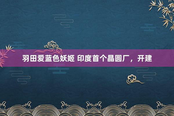 羽田爱蓝色妖姬 印度首个晶圆厂，开建