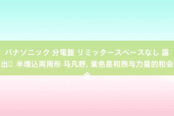 パナソニック 分電盤 リミッタースペースなし 露出・半埋込両用形 马凡舒， 紫色是和煦与力量的和会