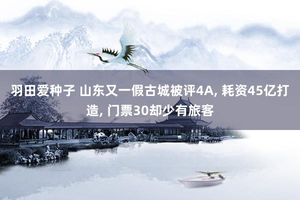 羽田爱种子 山东又一假古城被评4A， 耗资45亿打造， 门票30却少有旅客