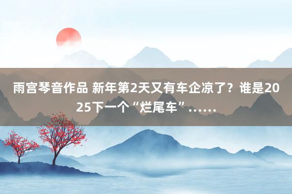 雨宫琴音作品 新年第2天又有车企凉了？谁是2025下一个“烂尾车”……
