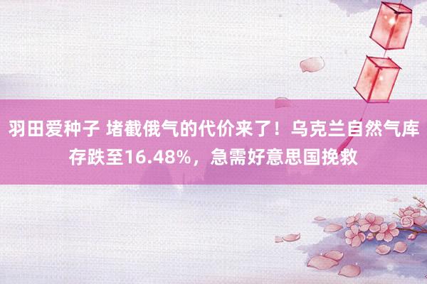 羽田爱种子 堵截俄气的代价来了！乌克兰自然气库存跌至16.48%，急需好意思国挽救