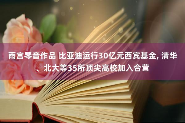 雨宫琴音作品 比亚迪运行30亿元西宾基金， 清华、北大等35所顶尖高校加入合营