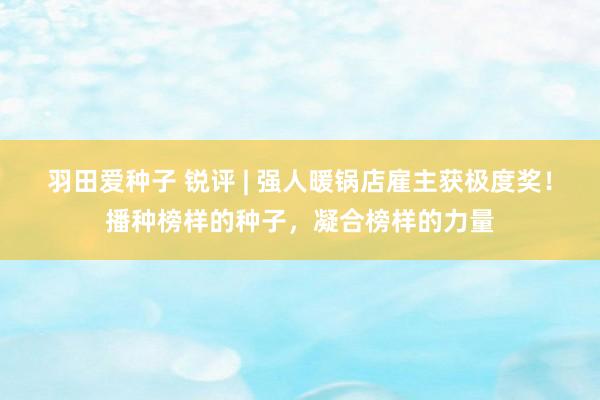 羽田爱种子 锐评 | 强人暖锅店雇主获极度奖！播种榜样的种子，凝合榜样的力量