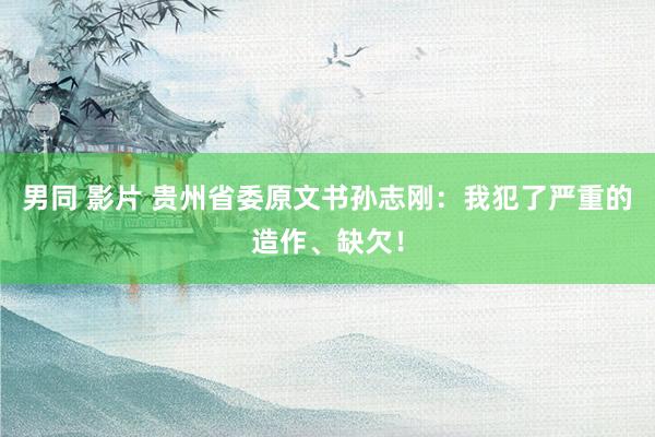 男同 影片 贵州省委原文书孙志刚：我犯了严重的造作、缺欠！