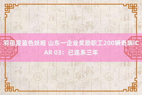 羽田爱蓝色妖姬 山东一企业奖励职工200辆奇瑞iCAR 03：已连系三年