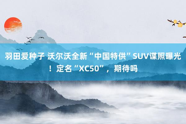 羽田爱种子 沃尔沃全新“中国特供”SUV谍照曝光！定名“XC50”，期待吗