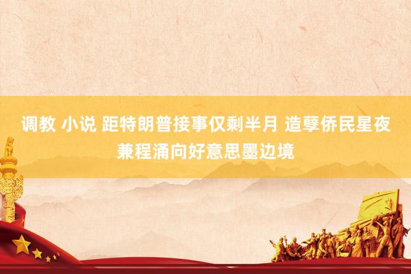调教 小说 距特朗普接事仅剩半月 造孽侨民星夜兼程涌向好意思墨边境