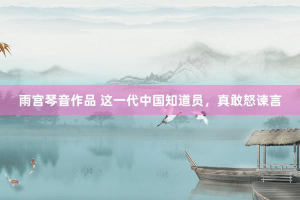 雨宫琴音作品 这一代中国知道员，真敢怒谏言