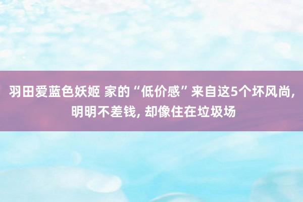 羽田爱蓝色妖姬 家的“低价感”来自这5个坏风尚， 明明不差钱， 却像住在垃圾场