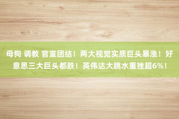 母狗 调教 官宣团结！两大视觉实质巨头暴涨！好意思三大巨头都跌！英伟达大跳水重挫超6%！