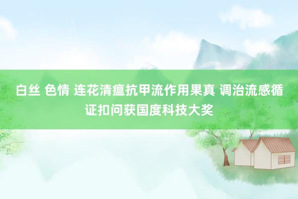 白丝 色情 连花清瘟抗甲流作用果真 调治流感循证扣问获国度科技大奖