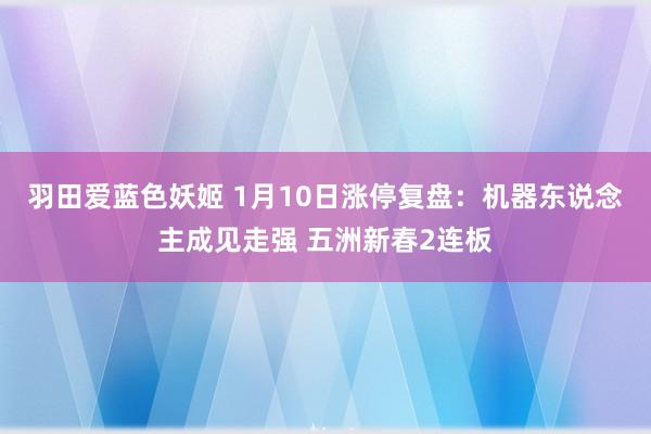 羽田爱蓝色妖姬 1月10日涨停复盘：机器东说念主成见走强 五洲新春2连板