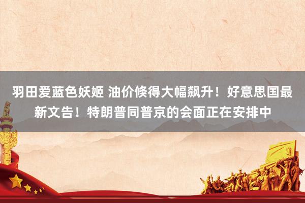 羽田爱蓝色妖姬 油价倏得大幅飙升！好意思国最新文告！特朗普同普京的会面正在安排中