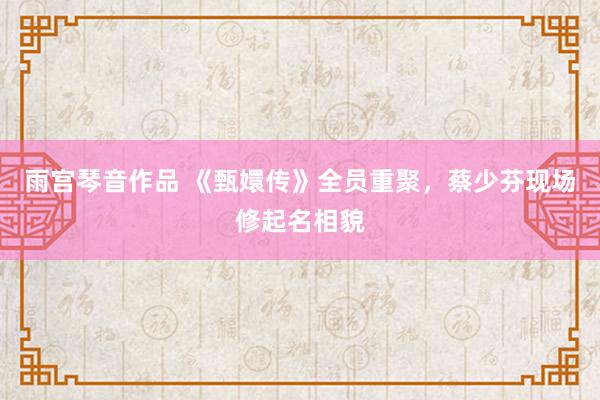 雨宫琴音作品 《甄嬛传》全员重聚，蔡少芬现场修起名相貌