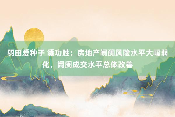 羽田爱种子 潘功胜：房地产阛阓风险水平大幅弱化，阛阓成交水平总体改善