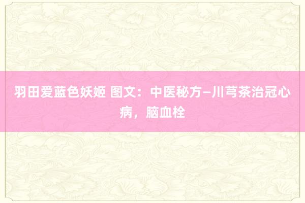 羽田爱蓝色妖姬 图文：中医秘方—川芎茶治冠心病，脑血栓